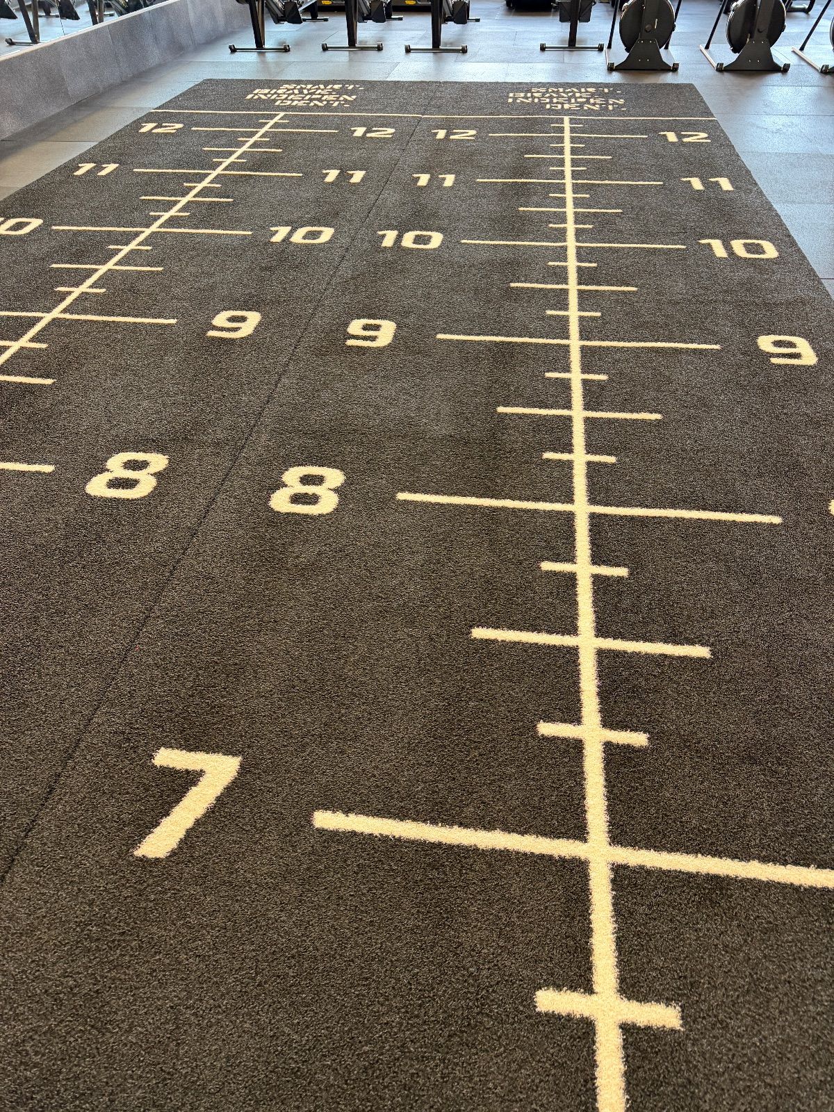 Sled push, Sled pull, Sled lane — Form Factory Vinohradská, Praha