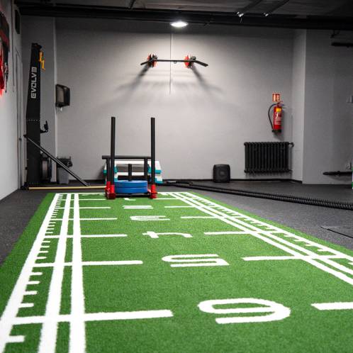 SkiErg, Sled push, Sled pull, Farmers, Sled lane — Gym Neratovice, Neratovice