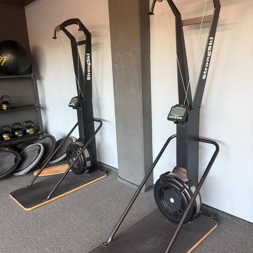 SkiErg — Max Fitness Flora, Prague