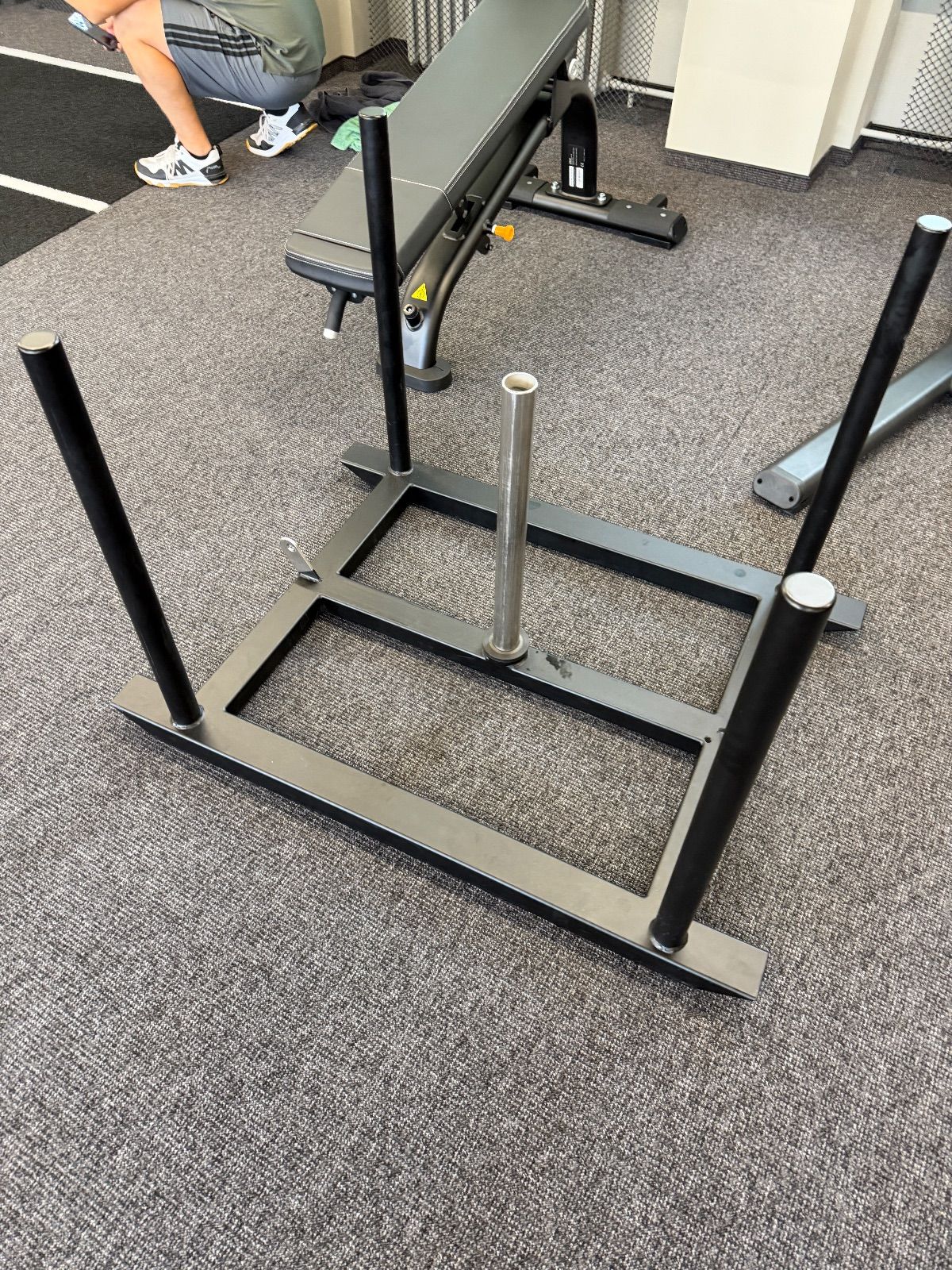 Sled push, Sled pull — Max Fitness Letňany, Praha